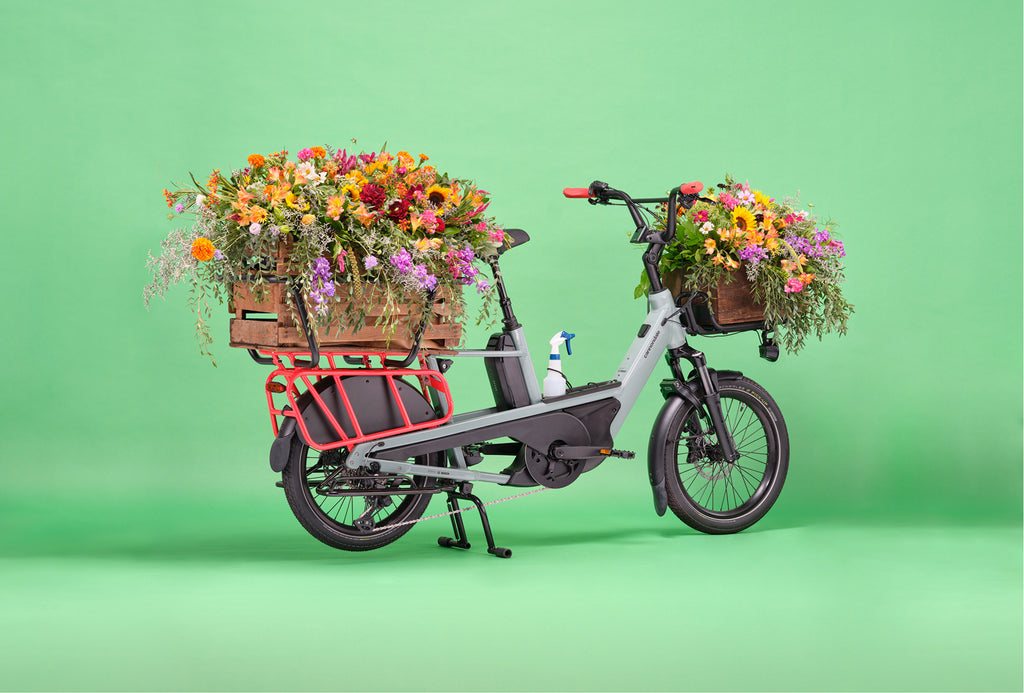 Vélo cargo électrique Cannondale Cargowagen Neo 1  longtail 20″